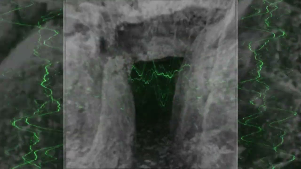 Guarda Harvestman - Psilosynth su YouTube Guarda Harvestman - Psilosynth su YouTube