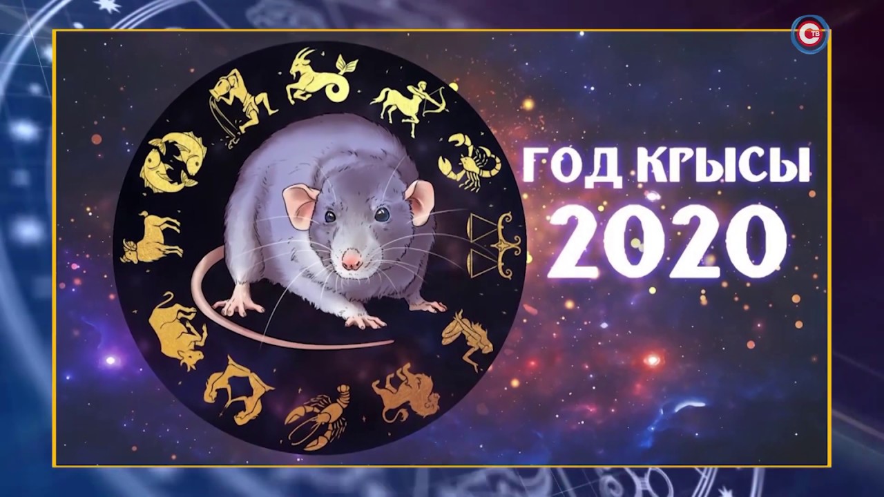 Гороскоп 2024 крыса стрелец. Знак зодиака Телец крыса.