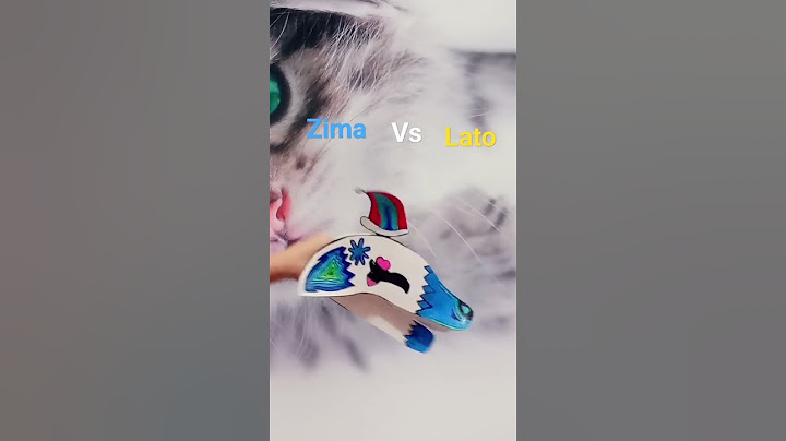 zima vs lato
