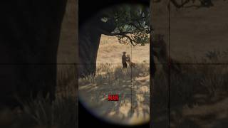 Every Choice Has a Price in RDR2
