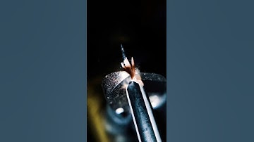 ASMR Pencil Destroying✏️ #macro #satisfying #asmr #closeup #destroy #pencil