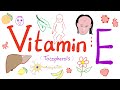 Vitamin e     tocopherol  everything you need to know