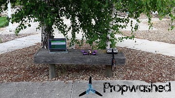 Initial PIDs the Easy Way [Propwashed Testbench]