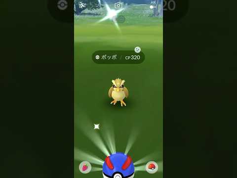 ポケモンgo ポッポ 色違い 捕獲動画 Youtube ポケモンgo ポッポ 色違い 捕獲動画 Youtube