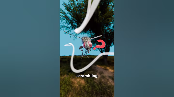 Why Cows Were Painted Like Zebras 🤔