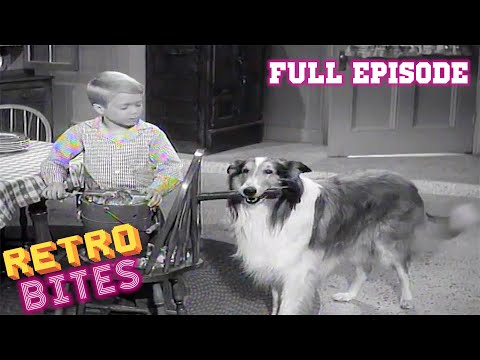 lassie-|-a-christmas-story-|-christmas-special-|-full-episodes-🐕🎄