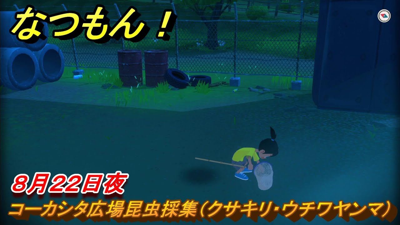 なつもん！ 8月22日夜 コーカシタ広場昆虫採集（クサキリ
