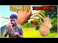 panai konthai vera level taste|palm seed review😳 |panai maram @RandomVloggerTamil #palmseed