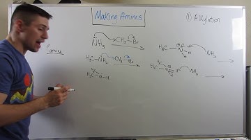 Simple Strategies: Reactions to Make Amines