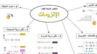 خريطة ذهنية 🕸️ للوحدة 3 : الإنزيمات .