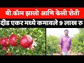 डाळिंब फळबागेत असा झालो यशस्वी | pemogranate farming | Dalimb sheti | Anar farming | डाळिंब बाग