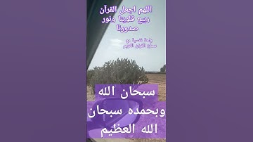 آيات بينات من الذكر الحكيم سورة الإسراء #quran #قران #explore #اكسبلور #القرآن_الكريم