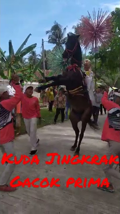 Kuda Jingkrak Gacok Prima!! #shorts #viral #viralshorts #kudajingkrak #kudajingkrakpurworejo #keren