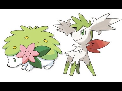 Pokemon 20th Anniversary Distribution - Shaymin - July - YouTube.