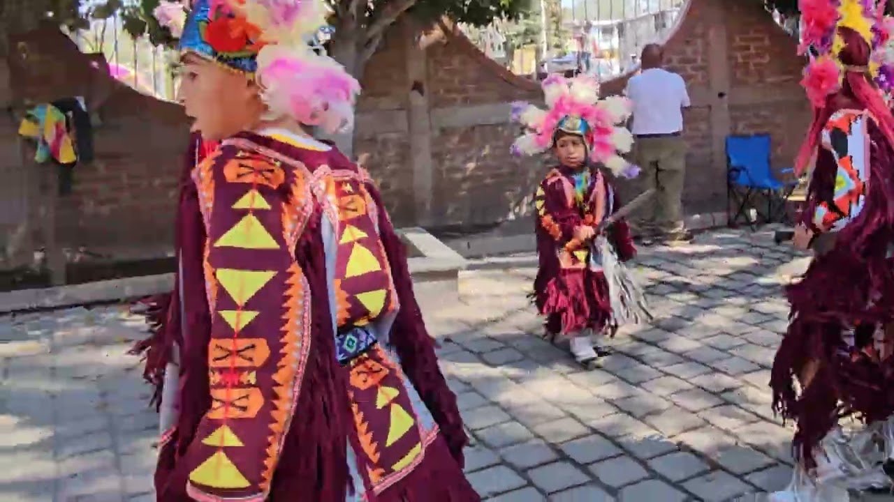 Gavilanes Pluma Blanca Nuevo Jesús del Monte 