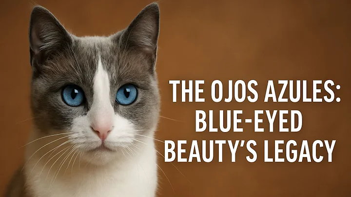 Watch the video about The Ojos Azules Cat | Blue-Eyed Beauty's Legacy