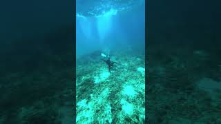 #provincelife #diving #underwater