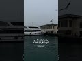 سوره ابراهيم الشيخ سيد سعيد 