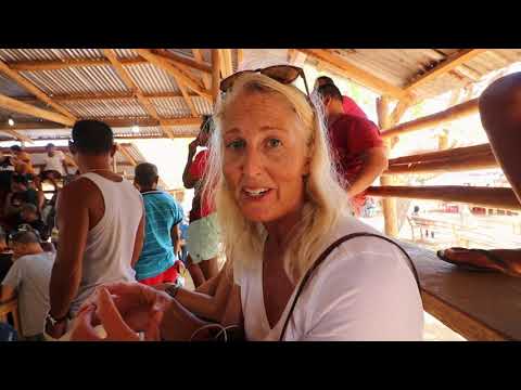 Inside a FILIPINO Cockfighting Ring