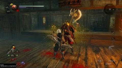 Nioh2 Dex Build