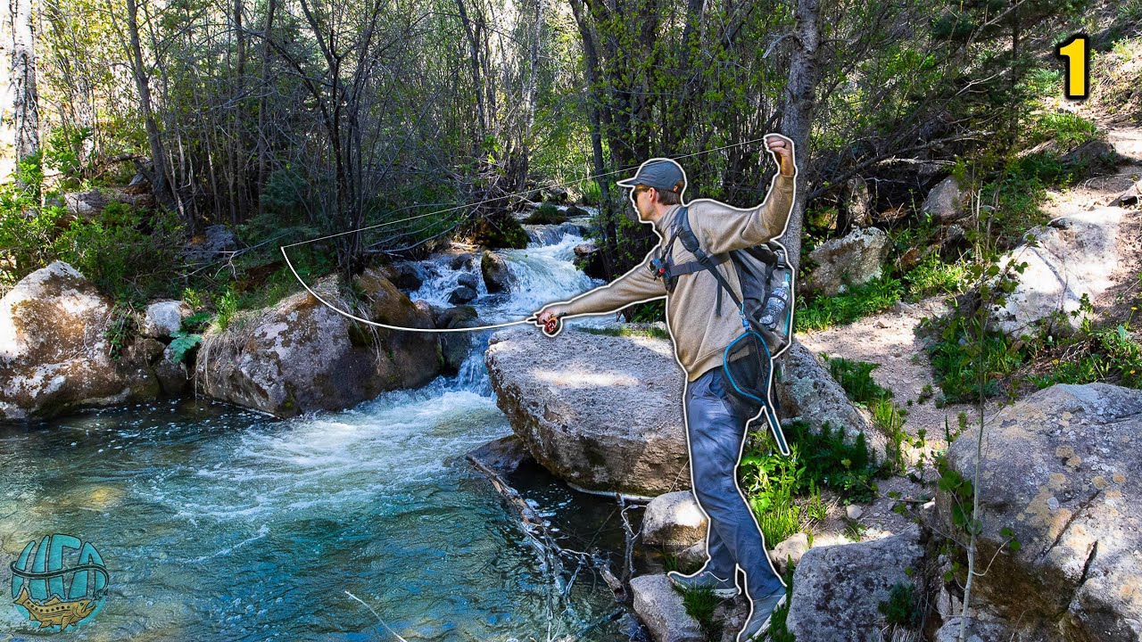 Fly Fishing New Mexico's small creeks for trout! || Rio Grande Cutthroat