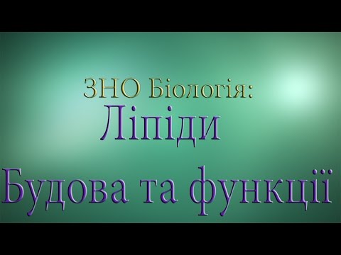 ЗНО Біологія  Ліпіди