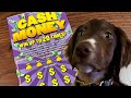 Cash Money Scratch Lotto #lotto #wisconsin