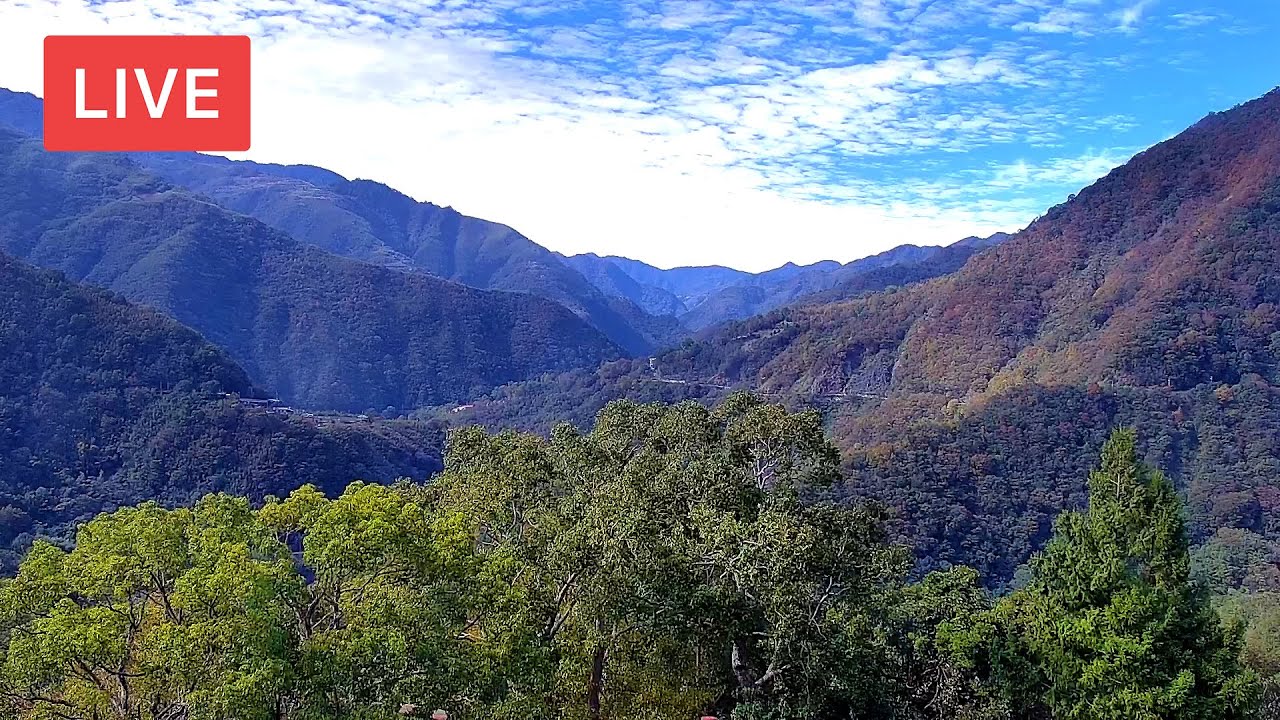 Lala Mountain Live Cam 拉拉山遊客中心即時影像