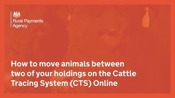 How to move animals between two of your holdings on the Cattle Tracing System (CTS) Online