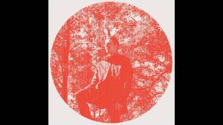 Watch Owen Pallett Midnight Directives video