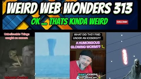 weird web wonders 313