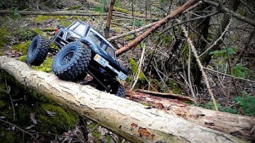 Axial SCX10-III Basecamp in the Forest