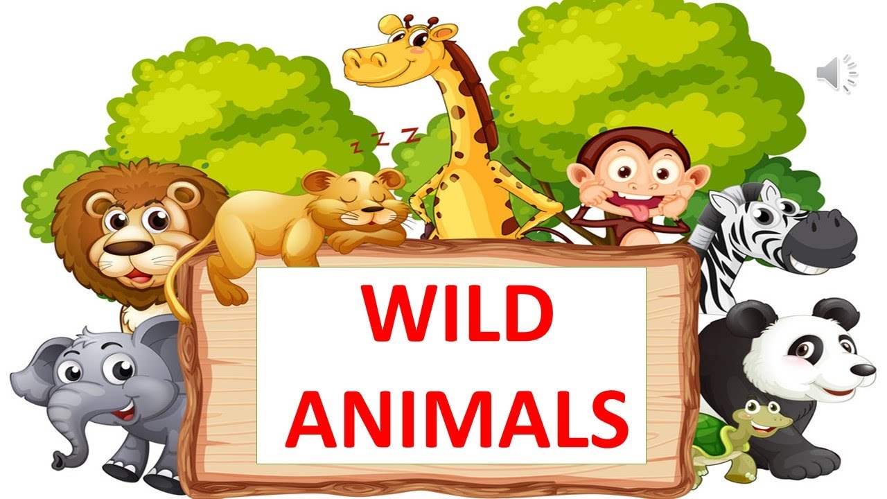 WILD ANIMAL || SCIENCE VIDEO FOR KIDS || EDUCATIONAL VIDEO FOR CHILDREN -  YouTube