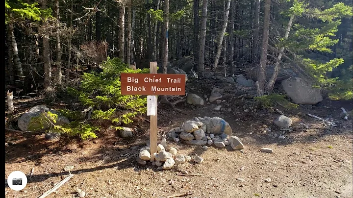 Black Mountain hike in Donnell Public Reserved Lan...