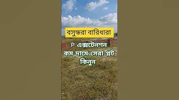 Bashundhara Plot price | P Extension | Q Block | N Extension | Bashundhara Baridhara Housing @GoldenProperty1