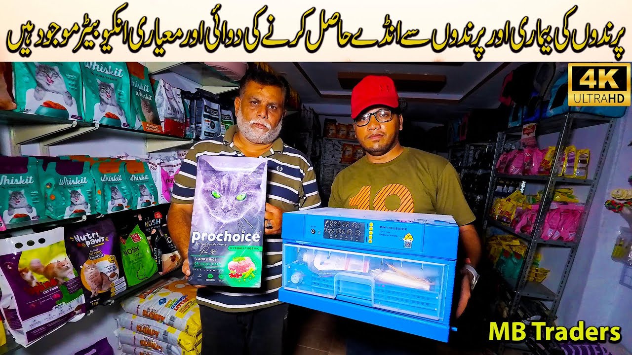 Imported Eggs Incubator Imported Birds Medicine and Related Bird and Animal all accessory MB Traders