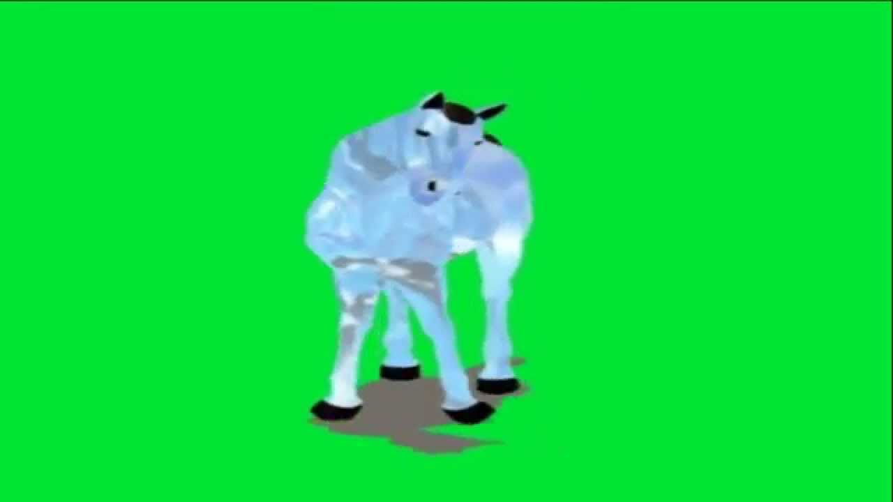 Free green screen hip hop horse YouTube