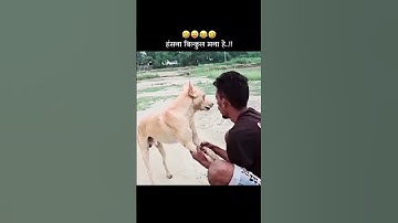 Epic Funny Video 😂😂😂 #shorts #viralshorts #comedy #funnymoments #fails #humor