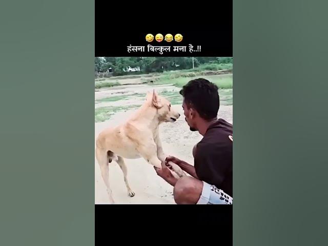 Epic Funny Video 😂😂😂 #shorts #viralshorts #comedy #funnymoments #fails #humor