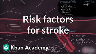 Risk factors for stroke | Circulatory System and Disease | NCLEX-RN | Khan Academy
