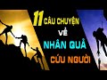 Nhờ Bố Thí Cứu Được Mạng Người | 11 Câu Chuyện  Về NHÂN QUẢ CỨU NGƯỜI GIEO THIỆN NHÂN GẶT QUẢ LÀNH