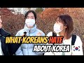 What do koreans dislike about korea