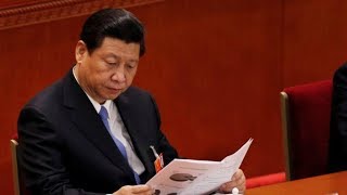 Cộng đồng Trung Quốc dậy sóng vì bức thư nữ sinh VN gửi Tập Cận Bình đau đớn thâm thúy