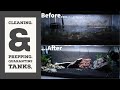 How to Clean and Prep a Quarantine Tank|Jhuly&#39;s Aquatics &amp; Gardening
