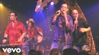 Video thumbnail of "Tryo - Monsieur Bibendum (Live au Cabaret Sauvage 2004)"