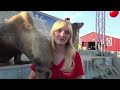 Sea lions return to the South Carolina State Fair