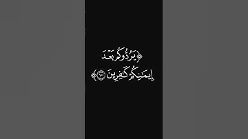 (وكيف تكفرون) #قرآن #ليدّبّروا_آياته #راحة_نفسية #شاشه_سوداء #سورة_آل_عمران #عبدالرحمن_ريس #quran
