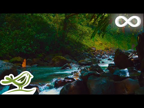 Midnight Calm: Deep Relaxing Music & Water Sounds for Spa, Yoga, Sleep and Relaxation