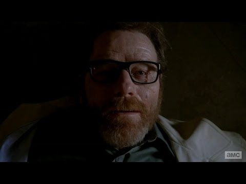 Эволюция Уолтера Уайта [McElroy]