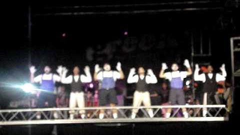 Lambda Alpha Upsilon strolling at Silk and Smooth 9 (2010) -Round 3